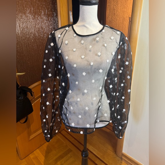 Zara women’s organza blouse blouson sz XL. New with tag - Picture 4 of 16